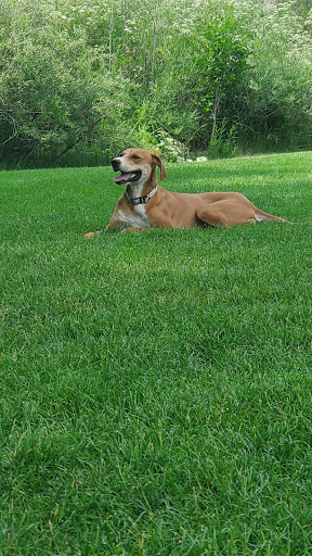 Health Club «Southwest Family YMCA», reviews and photos, 5181 W Kenyon Ave, Denver, CO 80236, USA