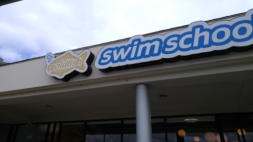 Goldfish Swim Club