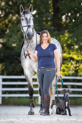 VET FOR EQUUS Mobile Tierarztpraxis für Pferde & Notdienst für Pferde