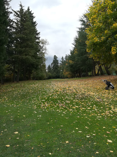 Public Golf Course «Lake Oswego Public Golf Course», reviews and photos, 17525 SW Stafford Rd, Lake Oswego, OR 97034, USA