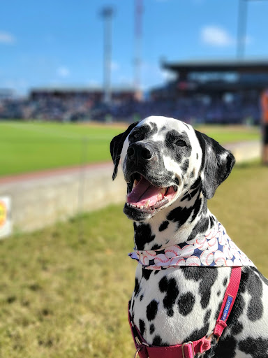 Stadium «Baseball Grounds - Jacksonville», reviews and photos, 301 A Philip Randolph Blvd, Jacksonville, FL 32202, USA