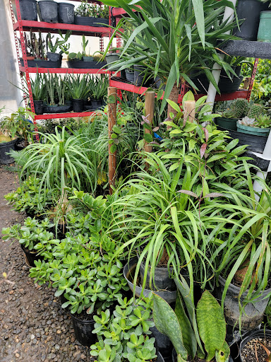 Florist «Little Eden Plantscaping», reviews and photos, 15550 W 72nd Ave, Arvada, CO 80007, USA