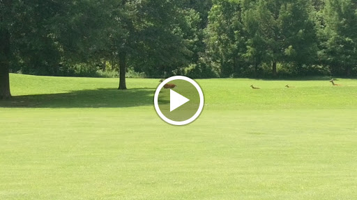 Golf Driving Range «Pebble Brook Golf Course», reviews and photos, 1730 Tom Austin Hwy, Greenbrier, TN 37073, USA