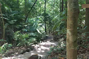 Blue Arrow Circuit Aeroglen Lookout image