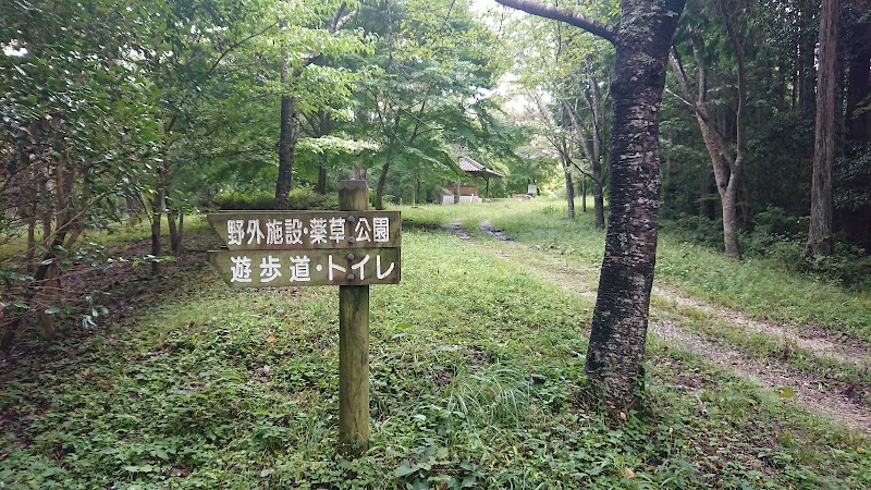牛丸大仙森林公園