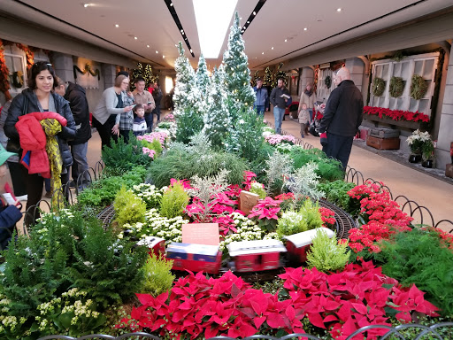 Botanical Garden «Chicago Botanic Garden», reviews and photos, 1000 Lake Cook Rd, Glencoe, IL 60022, USA