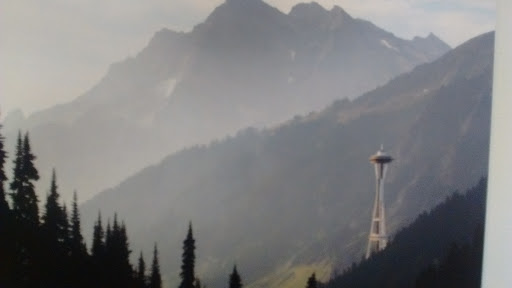 Art Gallery «A/NT: A Non-Traditional Gallery», reviews and photos, 305 Harrison St, Seattle, WA 98109, USA