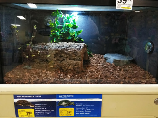 Pet Supply Store «PetSmart», reviews and photos, 1919 Wells Rd, Orange Park, FL 32073, USA