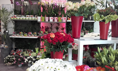 AD Fleurs à La Roche-sur-Yon