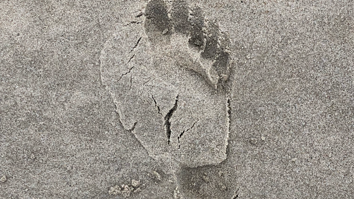 Care By Nor in Beder, Aarhus