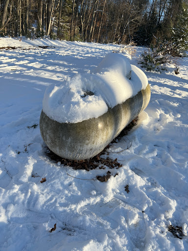 Southern States - Summersville