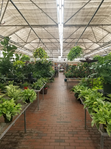 Garden Center «Sixteen Acres Garden Center», reviews and photos, 1359 Wilbraham Rd, Springfield, MA 01119, USA