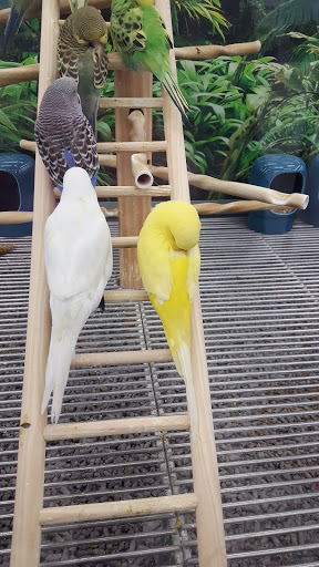 Pet Supply Store «Petco Animal Supplies», reviews and photos, 5263 Campbell Blvd, Nottingham, MD 21236, USA