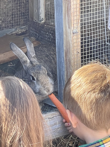 Zoo «Jr Pony Parties», reviews and photos, 1744 N Leonard Ln, Las Vegas, NV 89108, USA