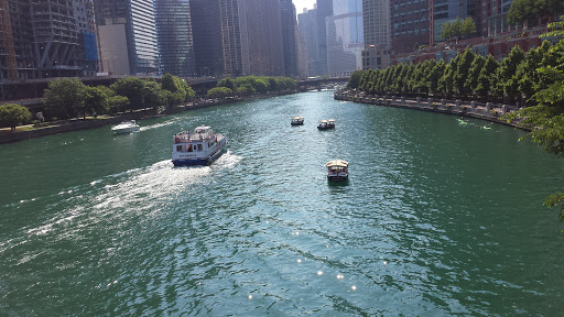 Park «Maggie Daley Park», reviews and photos, 337 E Randolph St, Chicago, IL 60601, USA