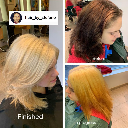 Day Spa «Pilo Arts Day Spa & Salon», reviews and photos, 8412 3rd Ave, Brooklyn, NY 11209, USA