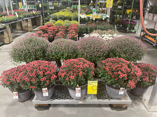 Home Improvement Store «The Home Depot», reviews and photos, 2551 S Interstate Hwy 35, Round Rock, TX 78664, USA