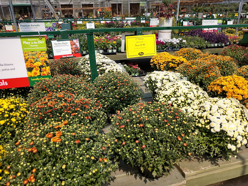 Garden Center «Pike Nurseries», reviews and photos, 615 W Crossville Rd, Roswell, GA 30075, USA