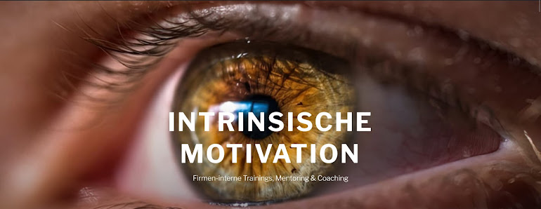 Intrinsische Motivation 