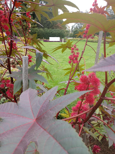 National Park «Home of Franklin D. Roosevelt National Historic Site», reviews and photos, 4097 Albany Post Rd, Hyde Park, NY 12538, USA