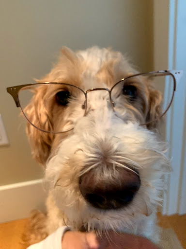 Optician «Warby Parker Annex», reviews and photos, 817 NW 23rd Ave, Portland, OR 97210, USA