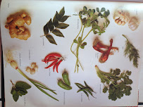 Restaurant indien Indian Palace Sindelfingen à Sindelfingen (la carte)