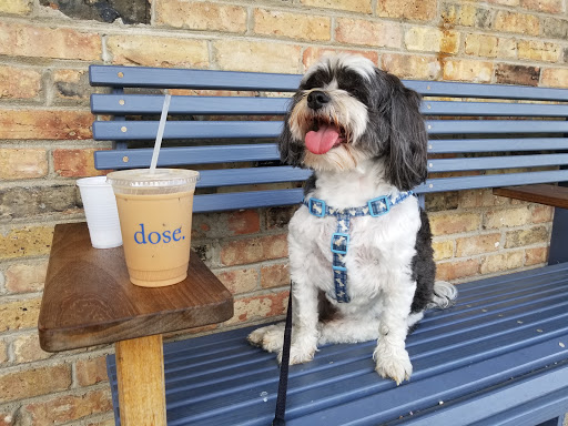 Coffee Shop «Dose Coffee & Tea», reviews and photos, 3431 Murphy Rd, Nashville, TN 37203, USA