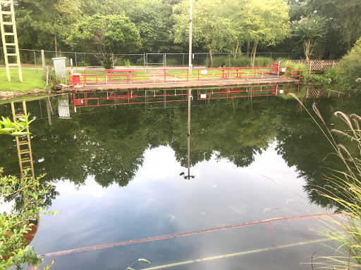 Amusement Park «Mountasia», reviews and photos, 175 Ernest W Barrett Pkwy NW, Marietta, GA 30066, USA