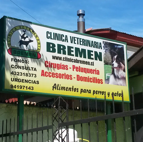 Clinica Veterinaria Bremen - Veterinario
