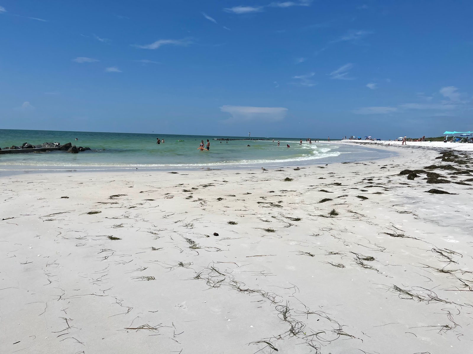 Honeymoon Island Beach'in fotoğrafı çok temiz temizlik seviyesi ile