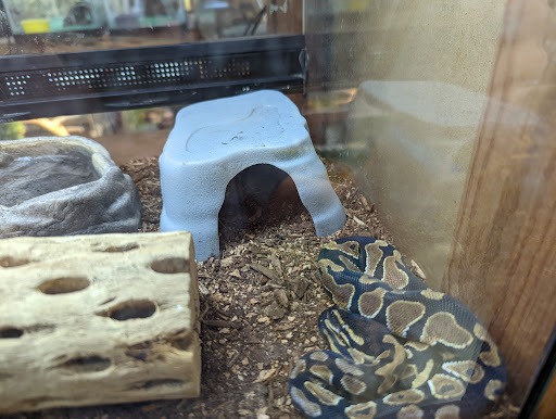 Pet Store «Just Pets», reviews and photos, 393 NY-5, Irving, NY 14081, USA