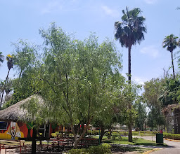 Bosque y Zoológico de la Ciudad photo