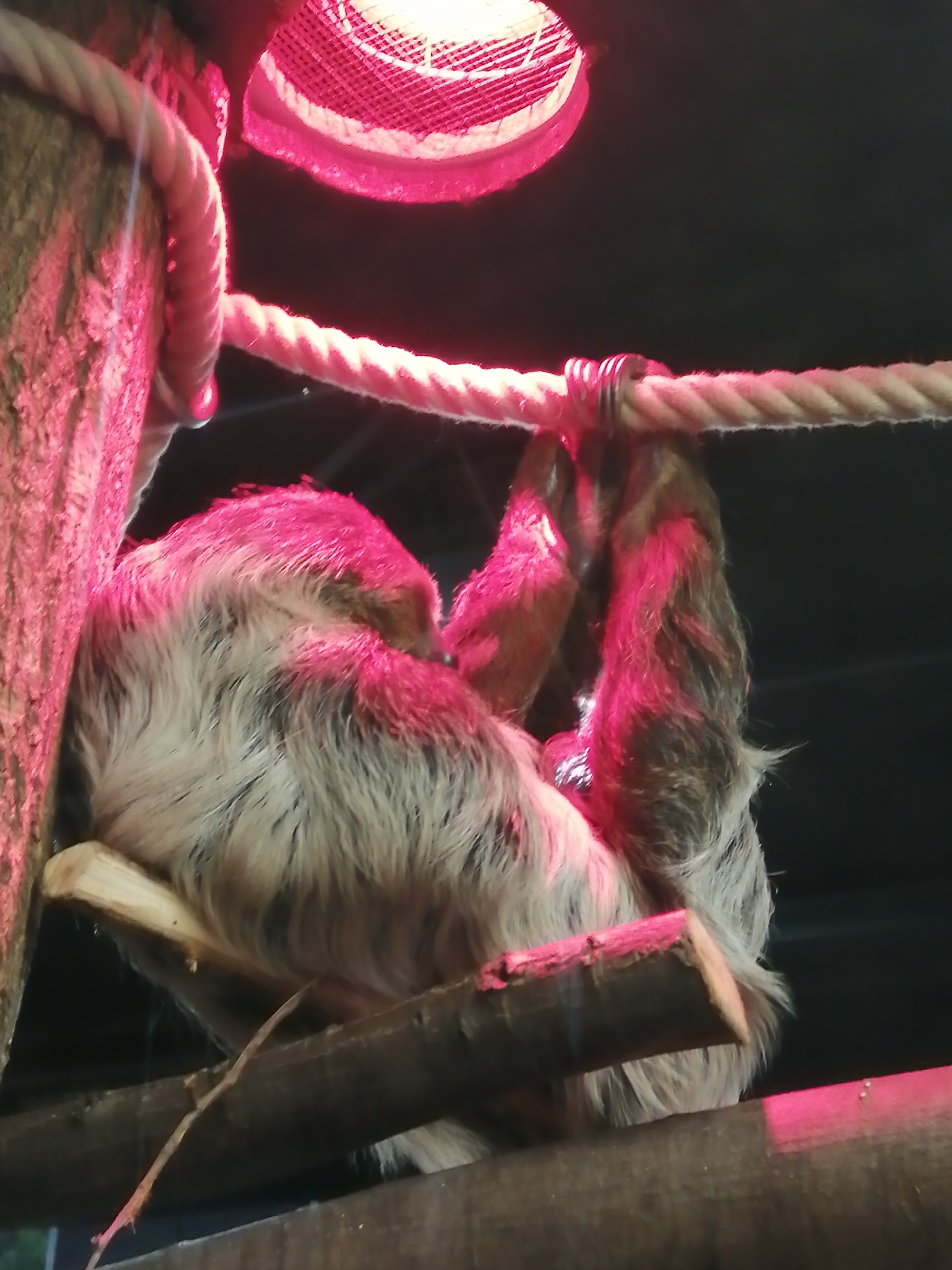 Photo n° 2 de l'avis de Alison.o fait le 14/08/2022 à 21:44