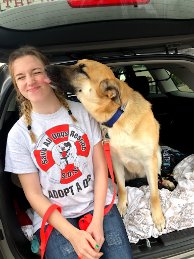 Pet Store «The Dog House», reviews and photos, 120 Hale Rd #1, Manchester, CT 06042, USA