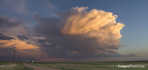 Tourist Attraction «Tempest Tours, Inc.», reviews and photos, 690 E Lamar Blvd, Arlington, TX 76011, USA