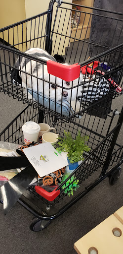 Thrift Store «WINGS Resale Store», reviews and photos, 300 W Golf Rd, Schaumburg, IL 60195, USA