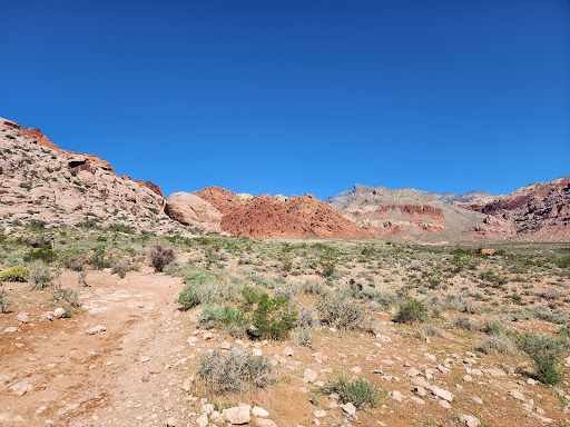 Calico Basin Trail