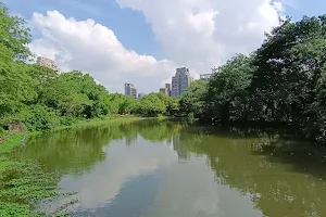Da’an Park Ecological Pond image