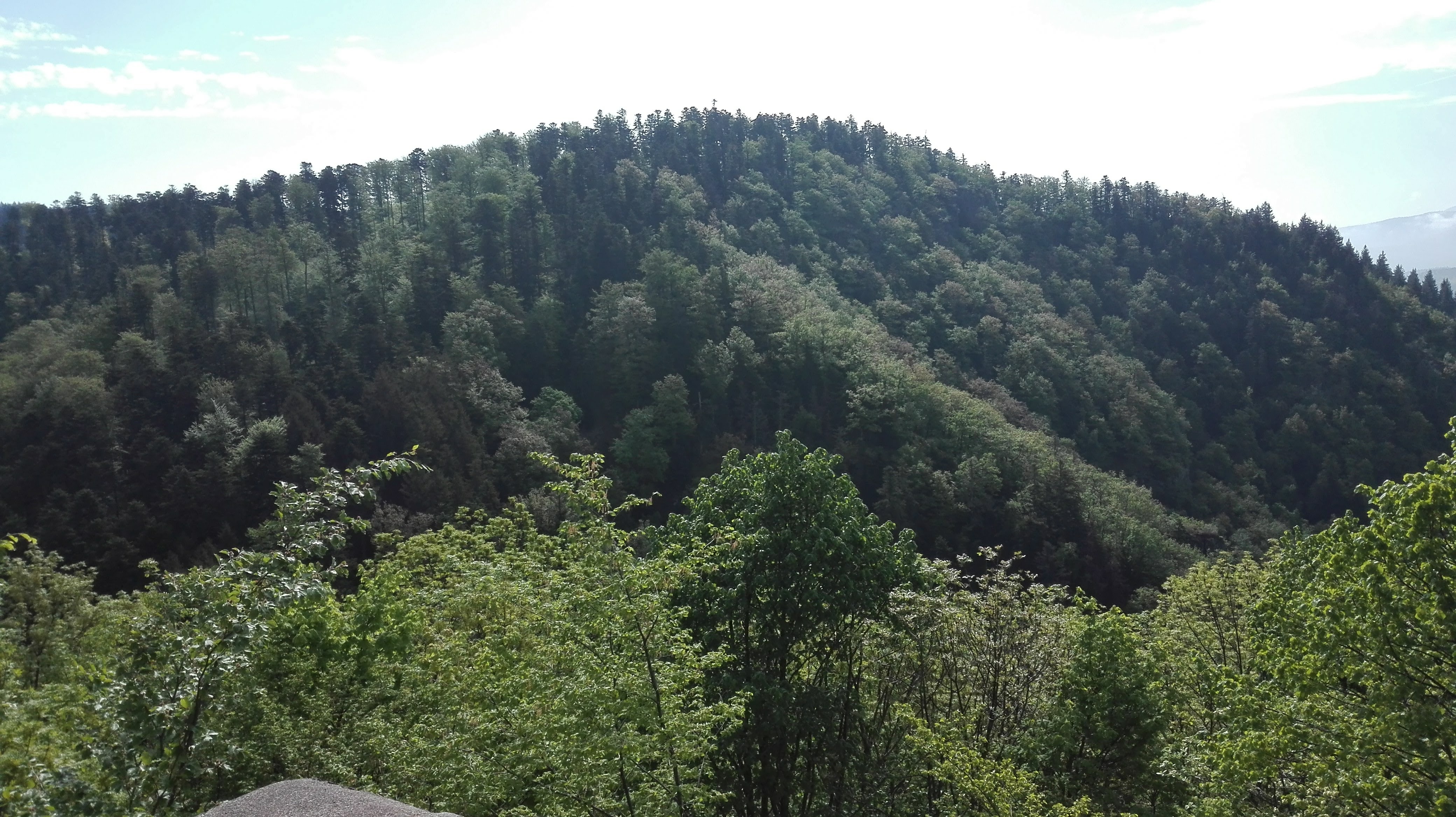 Photo n° 6 de l'avis de Nora.u fait le 29/04/2018 à 12:57