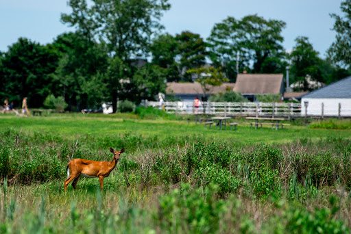 State Park «Silver Sands State Park», reviews and photos, 1 Silver Sands Park Way, Milford, CT 06460, USA