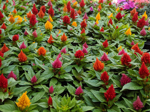 Home Improvement Store «The Home Depot», reviews and photos, 860 E Dunne Ave, Morgan Hill, CA 95037, USA