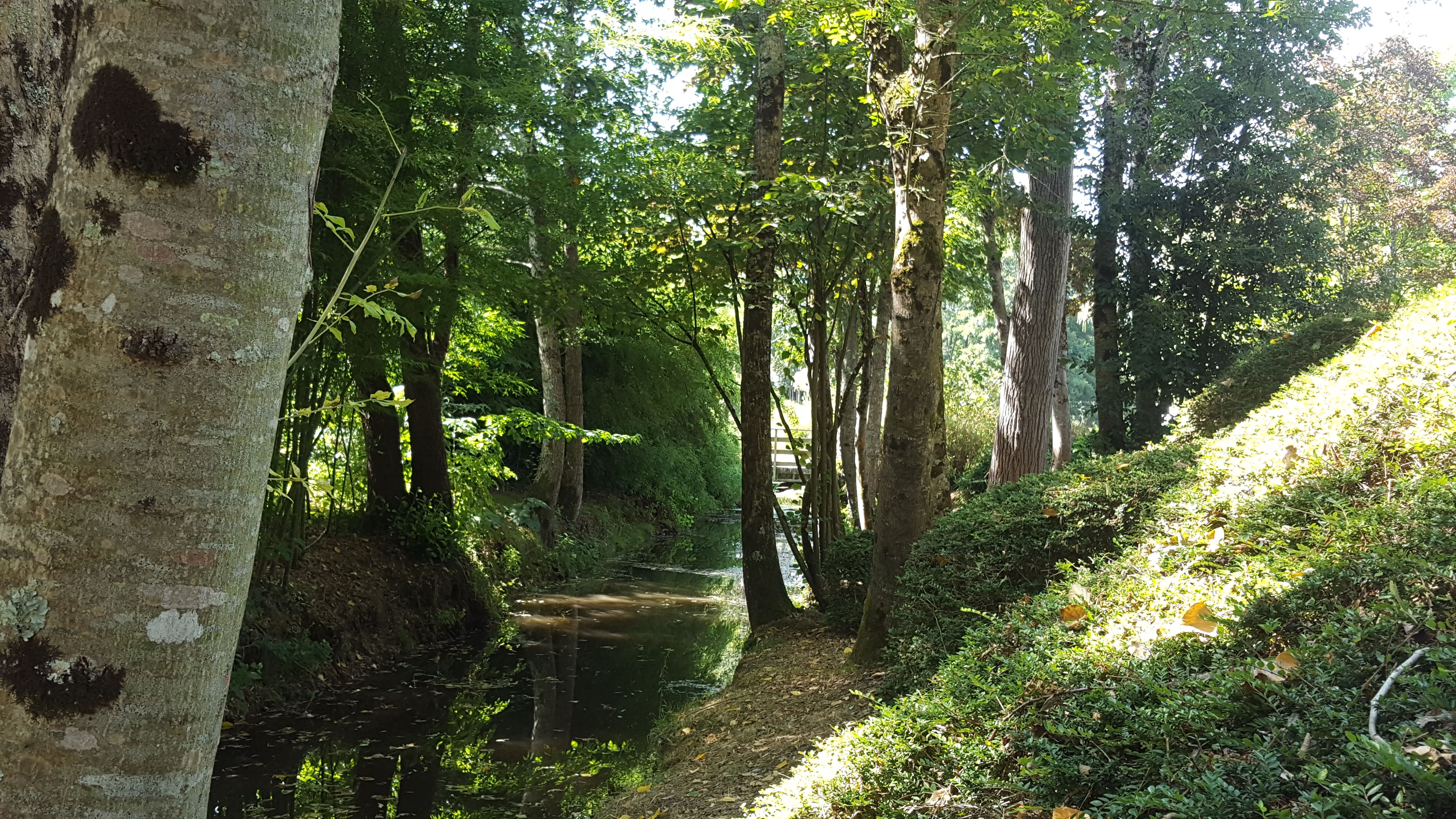 Photo n° 3 de l'avis de X.M fait le 10/08/2020 à 14:29