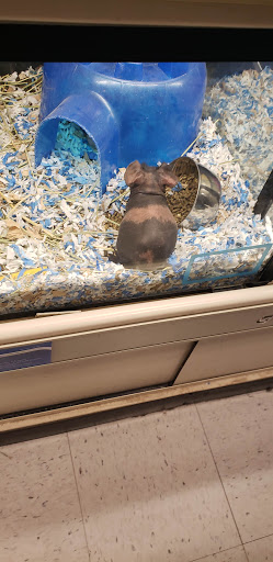 Pet Supply Store «PetSmart», reviews and photos, 3081 S 5600 W, Salt Lake City, UT 84120, USA