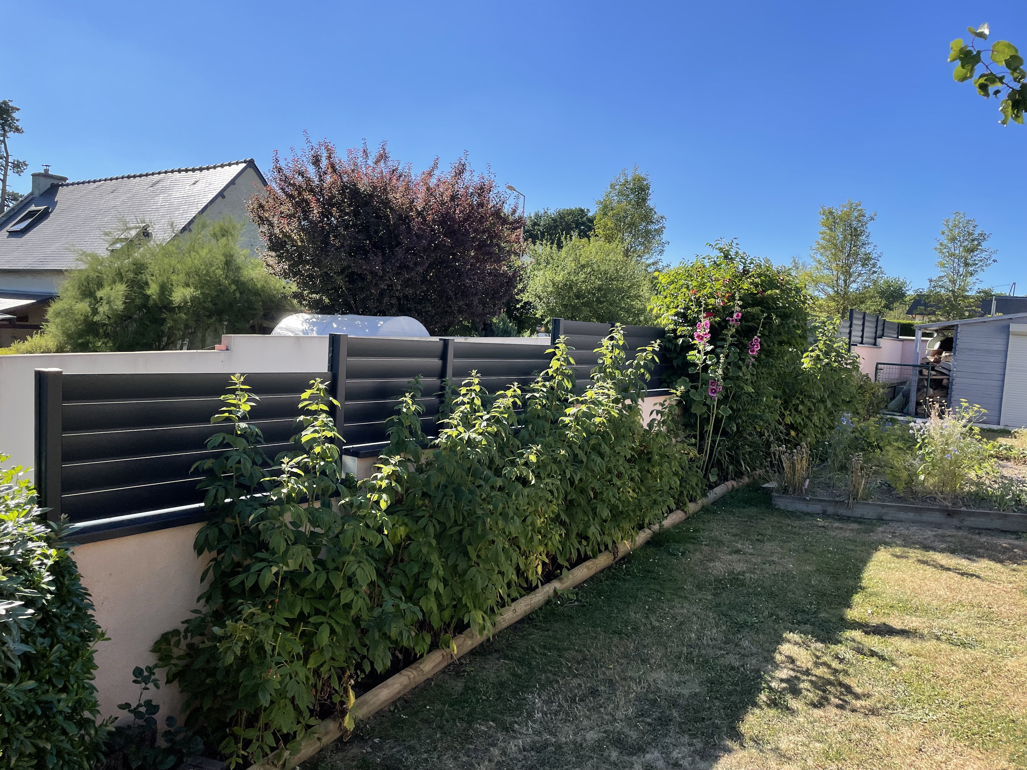 Photo n° 3 de l'avis de Petit.a fait le 13/07/2022 à 16:47