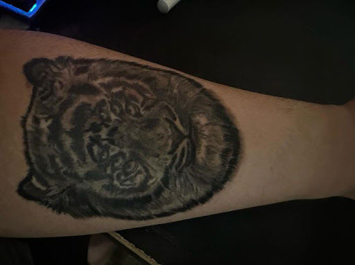 Explore peacock feather tattoo ideas, creative tattoo ideas in Bethlehem, available at Tony J tattoos