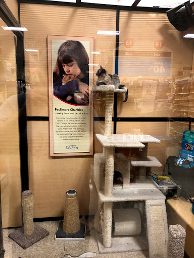 Pet Supply Store «PetSmart», reviews and photos, 2741 El Camino Real, Tustin, CA 92782, USA