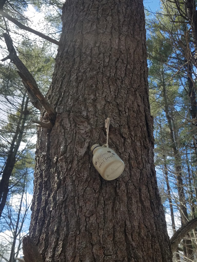 Science Museum «South Shore Natural Science Center», reviews and photos, 48 Jacobs Ln, Norwell, MA 02061, USA