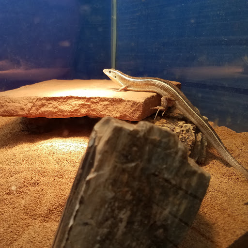 Pet Store «Pet World Warehouse Outlet», reviews and photos, 2984 S 108th St, Milwaukee, WI 53227, USA