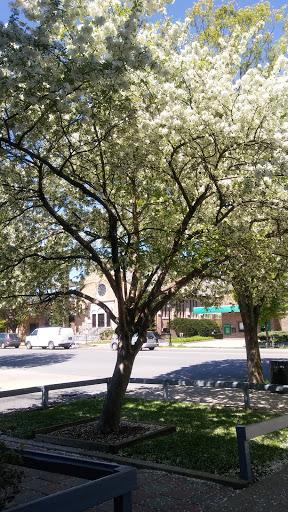 Health Club «Pocono Family YMCA», reviews and photos, 809 Main St, Stroudsburg, PA 18360, USA