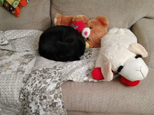 Home Goods Store «Dollar General», reviews and photos, 2649 Main St, Whitney Point, NY 13862, USA